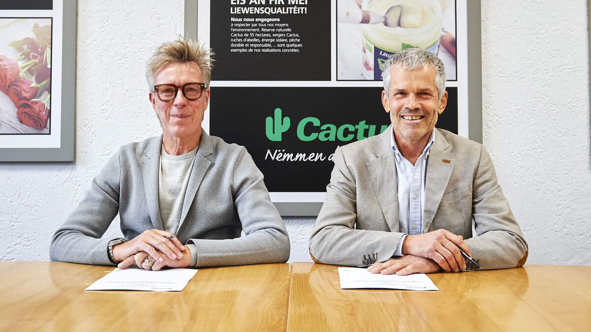 4 nouveaux Cactus Shoppi en lien avec Autocenter Goedert | Virgule