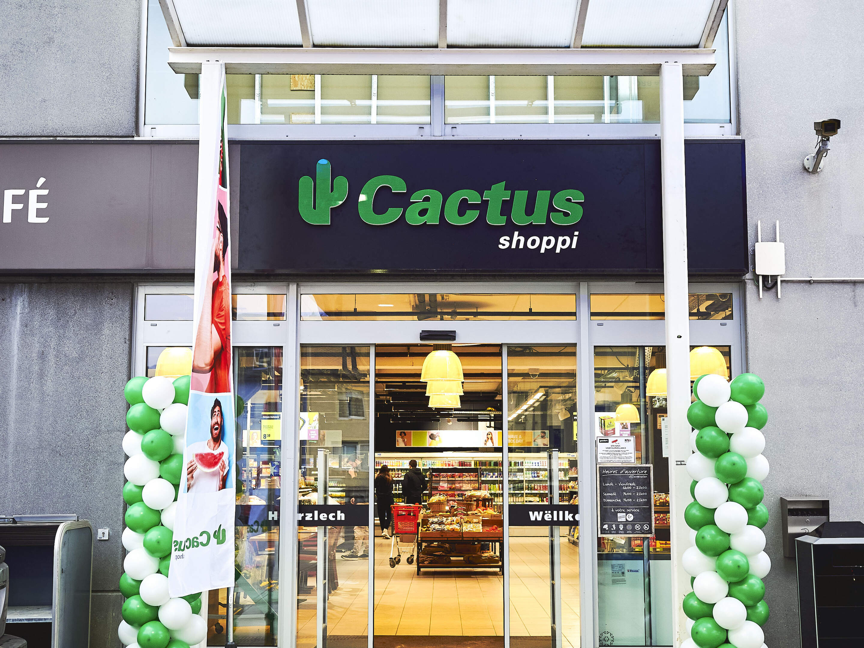 4 nouveaux Cactus Shoppi en lien avec Autocenter Goedert | Virgule