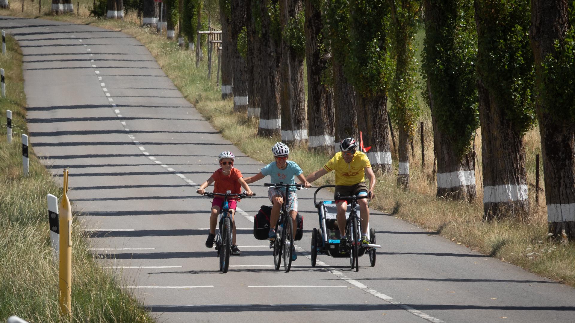 Le tronçon entre Alzingen et Syren a accueilli plus de 5.820 cyclistes durant l'été dernier. 