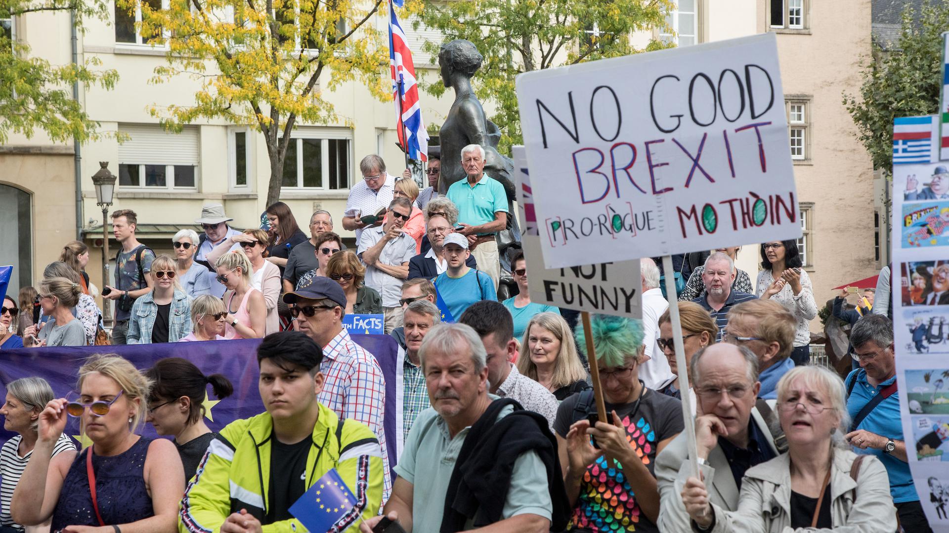 Les manifestants anti-Brexit étaient de sortie à l'occasion de la visite du Premier ministre britannique, lundi à Luxembourg