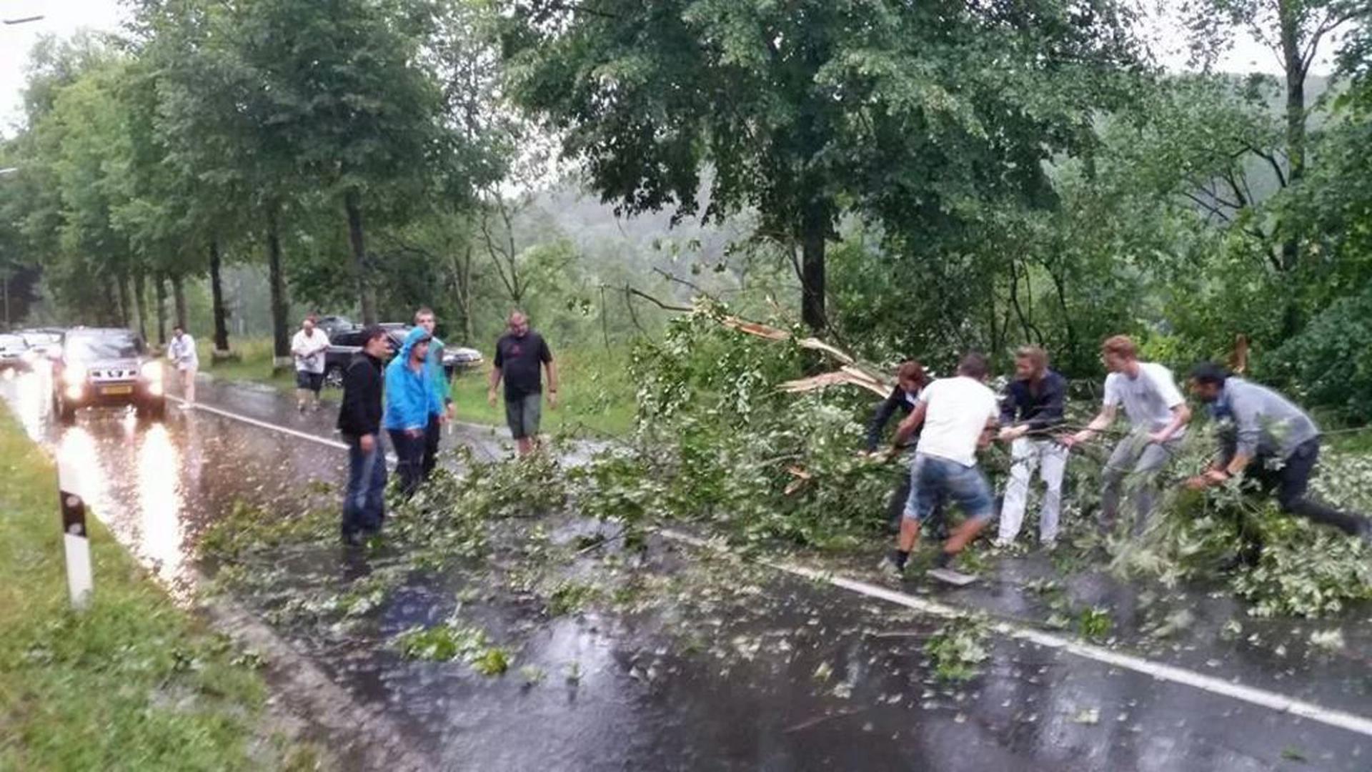Bloqués par la chute d'un arbre sur la N12 à Bour, les automobilistes tentent de dégager les voies par leurs propres moyens