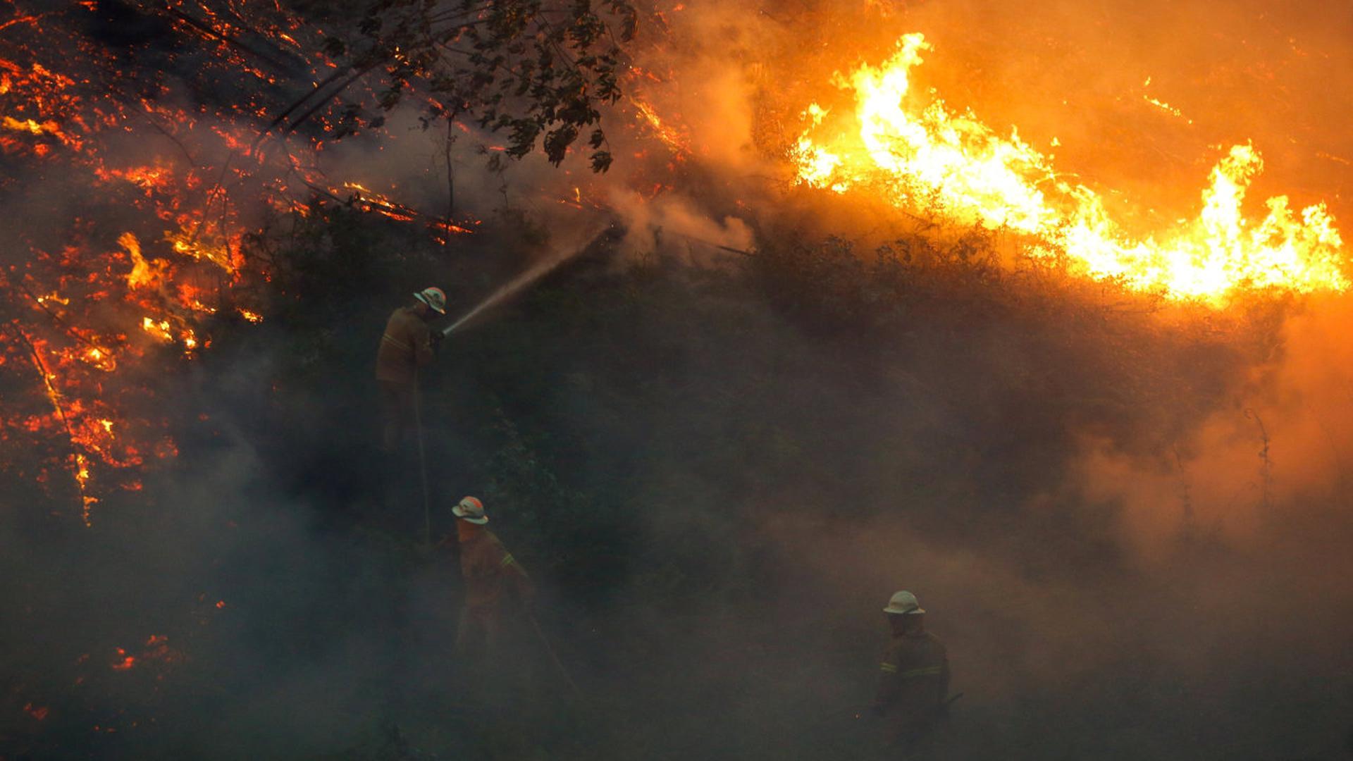 Les pompiers travaillent jour et nuit près de Fato, au centre du Portugal.