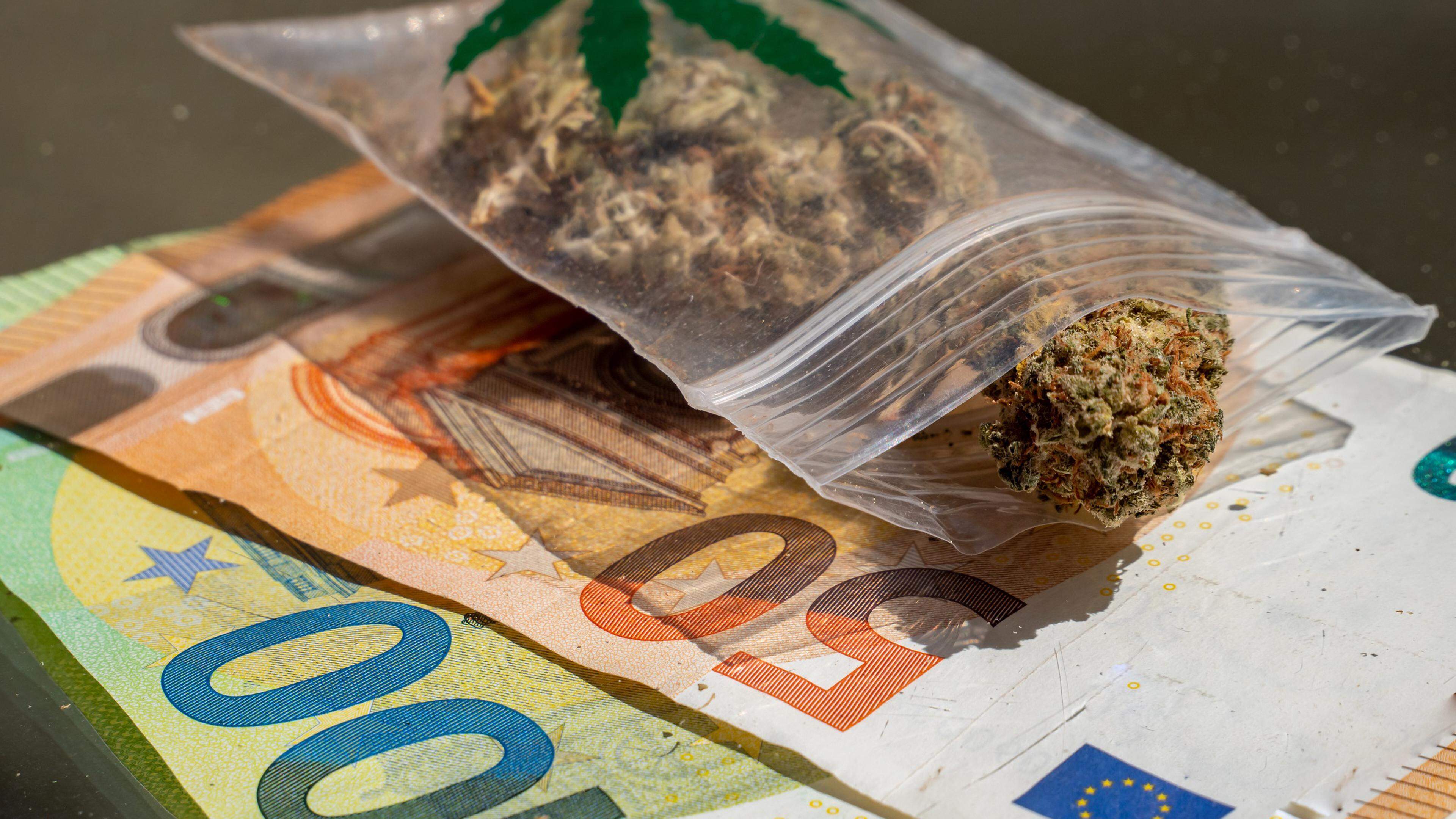 Drogues. Les Français, toujours les plus gros consommateurs de cannabis en  Europe
