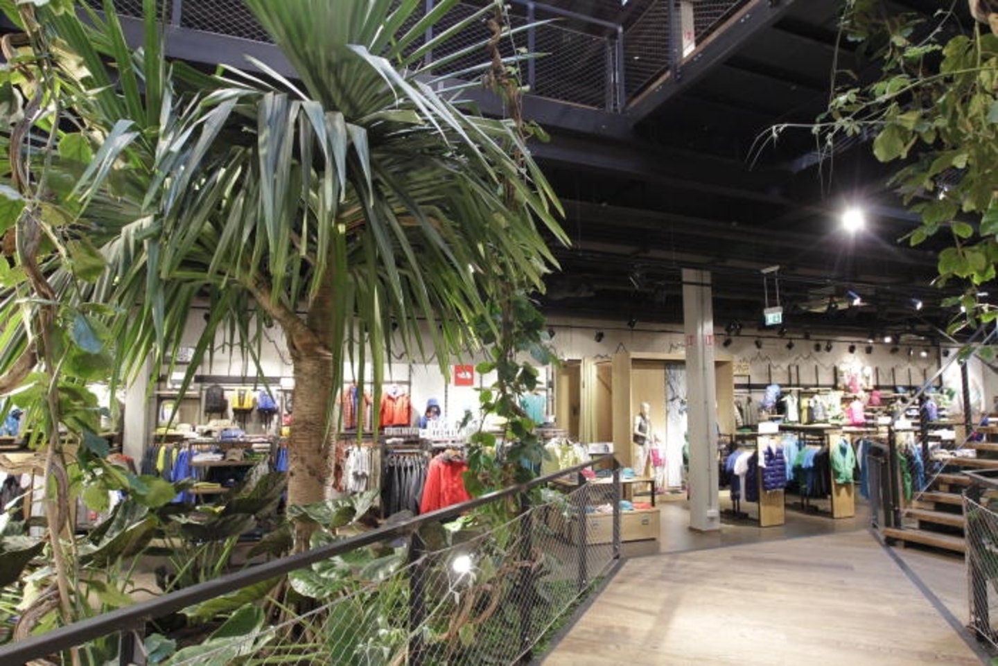 Cactus Belle Etoile: derniers prparatifs avant ouverture | Virgule