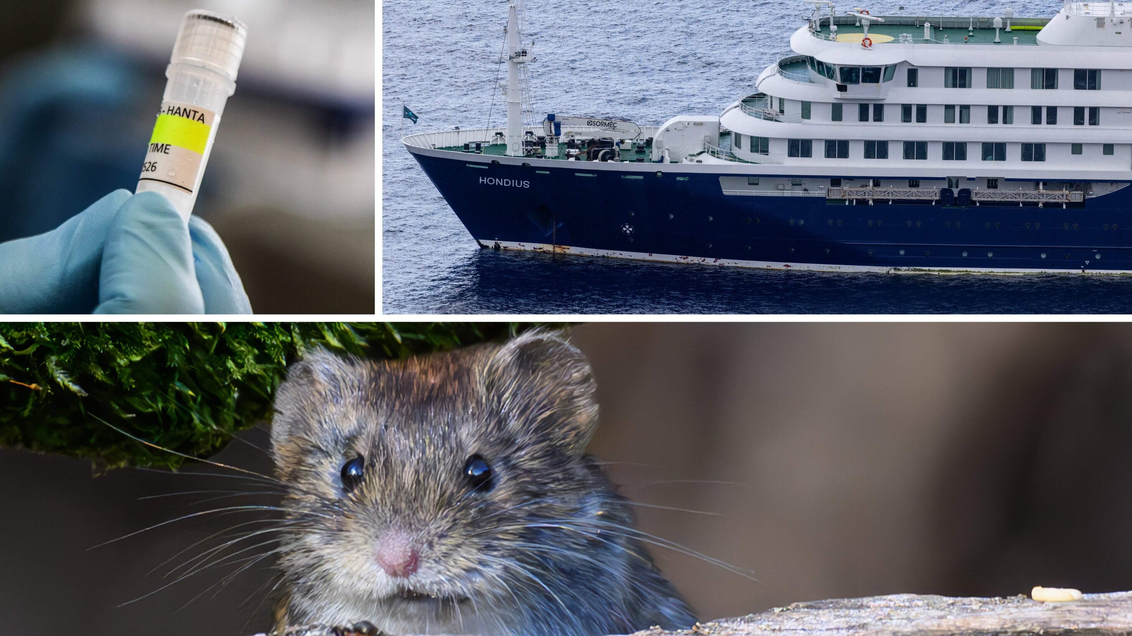 Luxembourg has experienced several hantavirus outbreaks