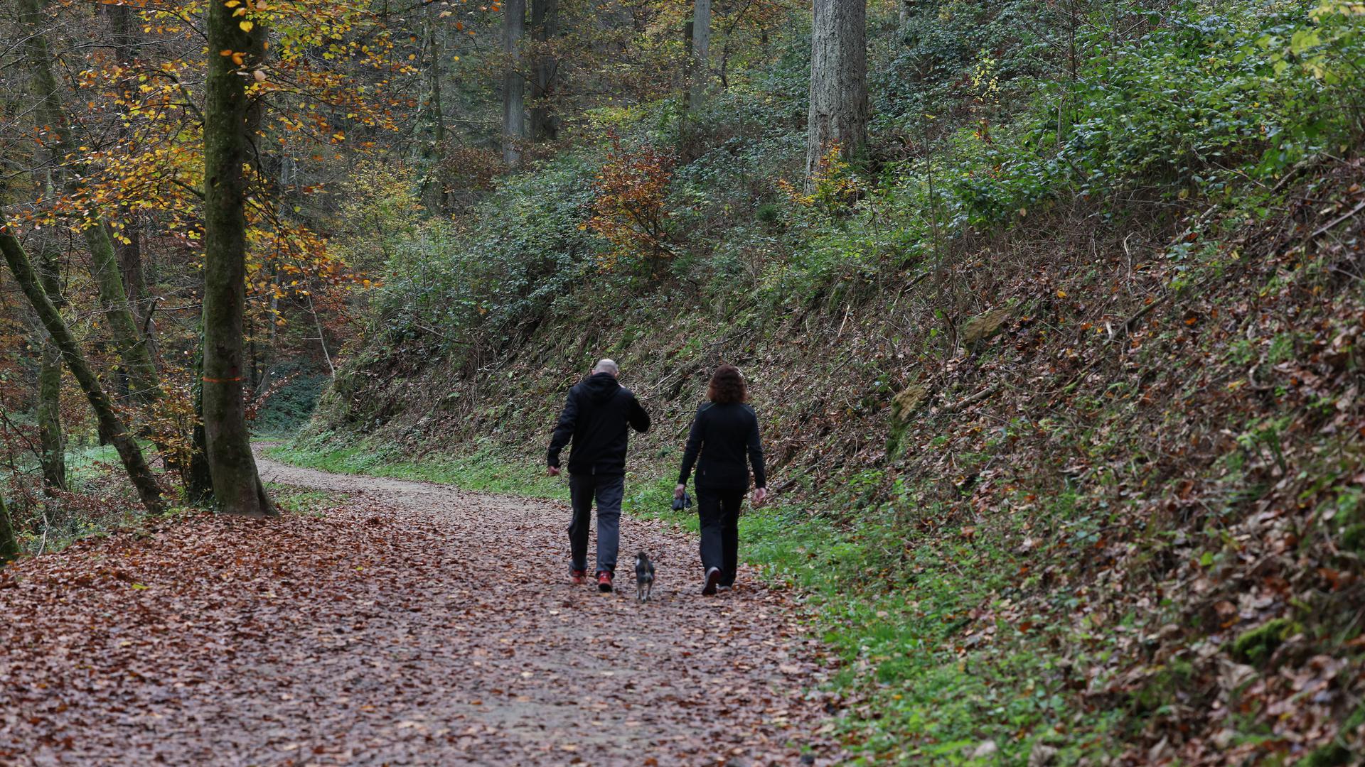 L'automne invite aux promenades et aux randonnées.