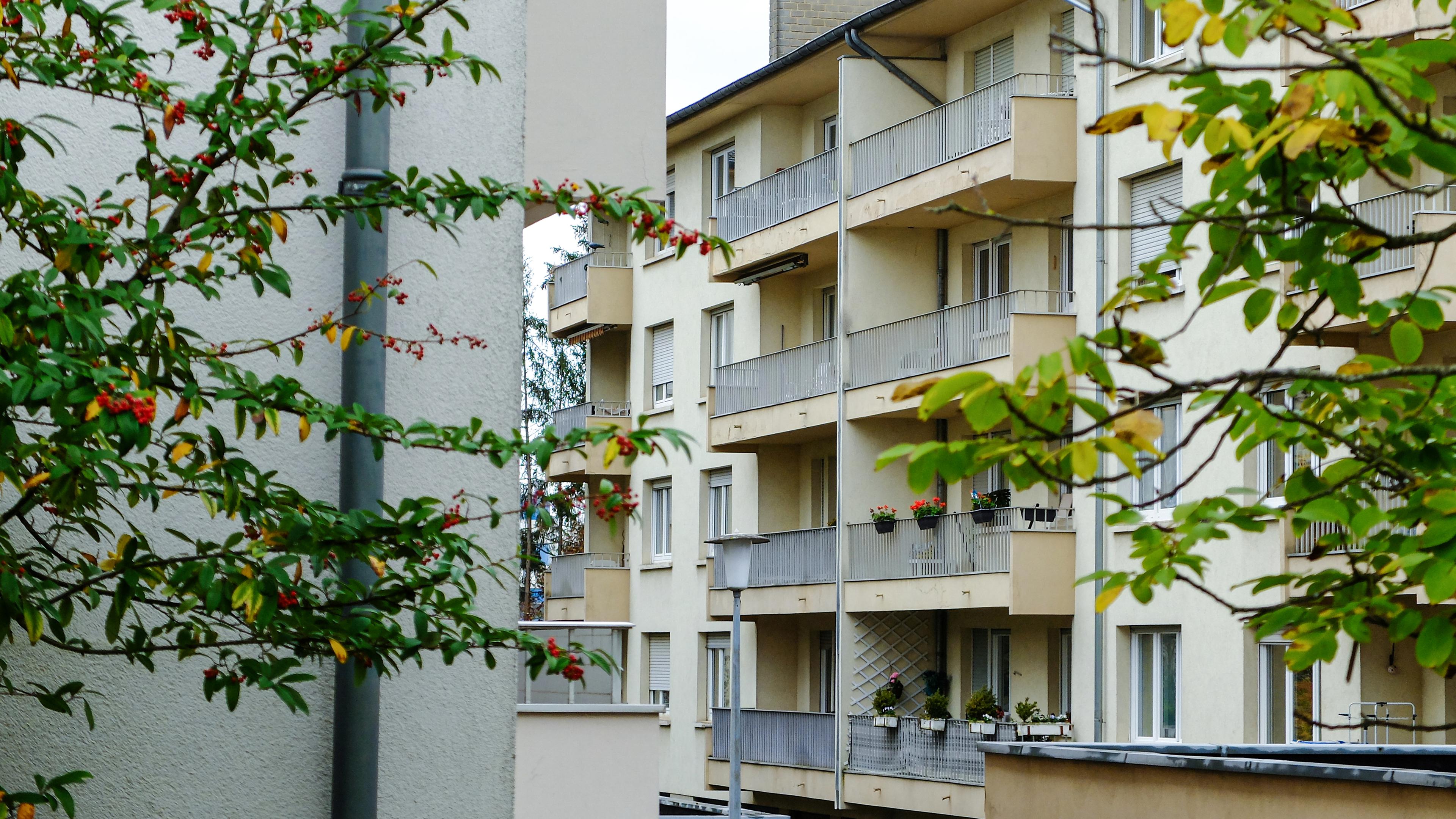 Simba La rue - Spécialiste de l'architecture - Cite de l