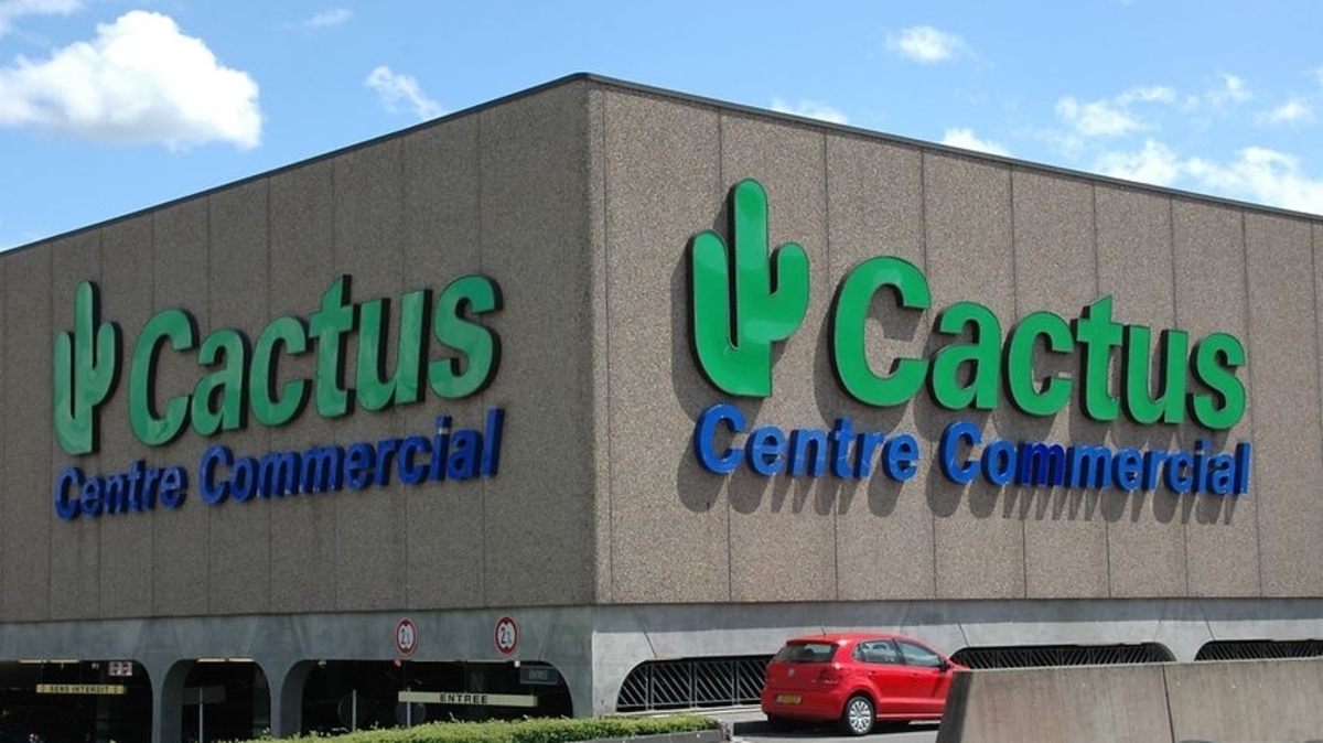 Cactus gagne la guerre des marques | Virgule