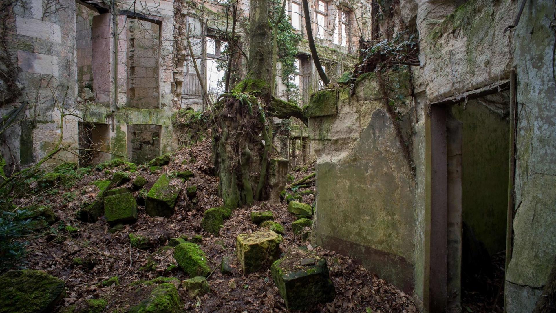 Le Chateau es en piètre état. 