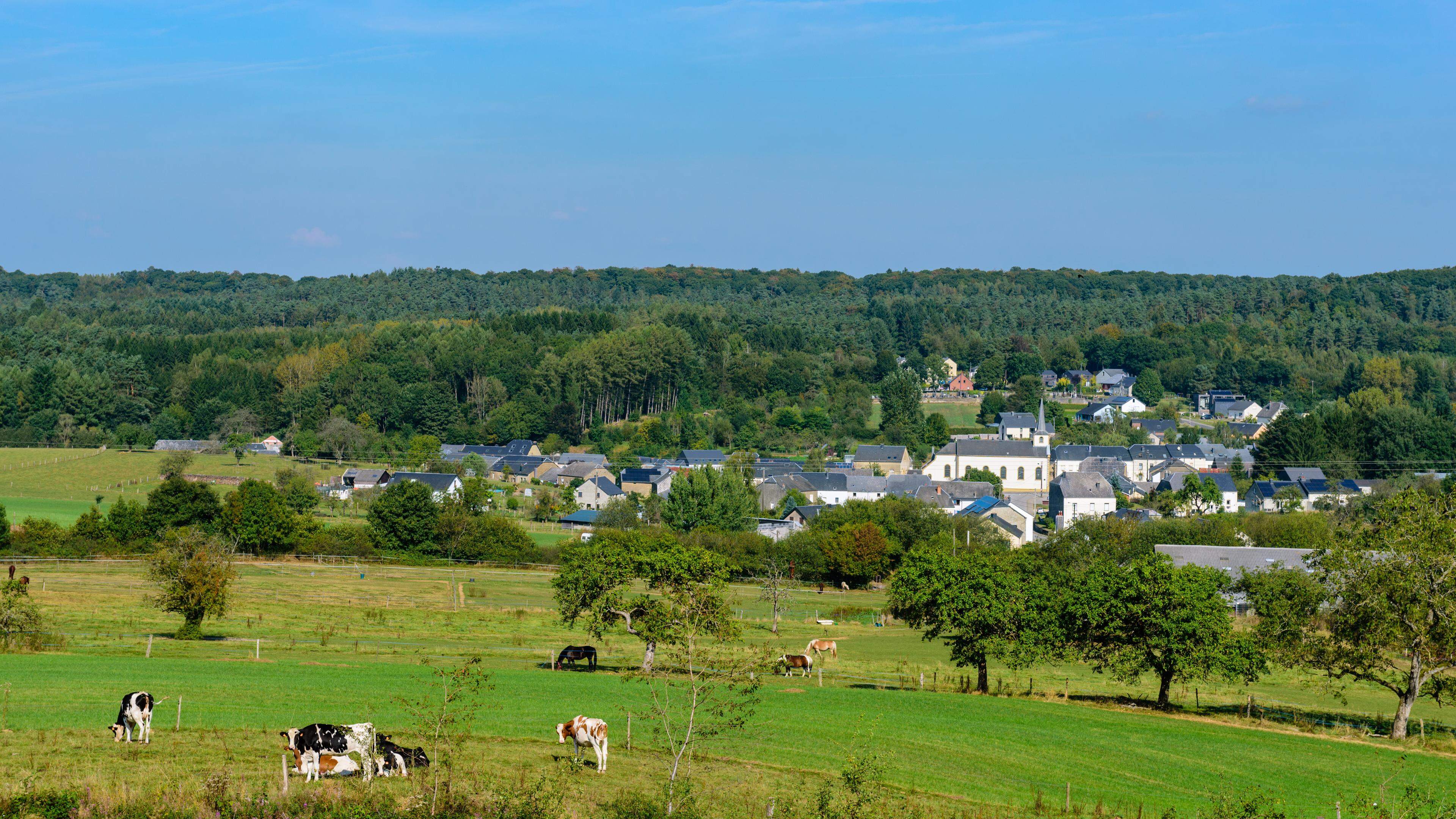 Un ménage peut acquérir actuellement un bien de 175 m² en province de Luxembourg.