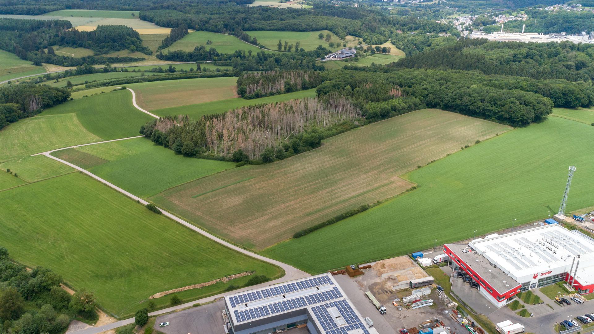 Les détails autour du futur site du datacenter de Google à Bissen ne seront pas connus immédiatement, confirme la Cour administrative, déboutant définitivement le Meco de sa demande.