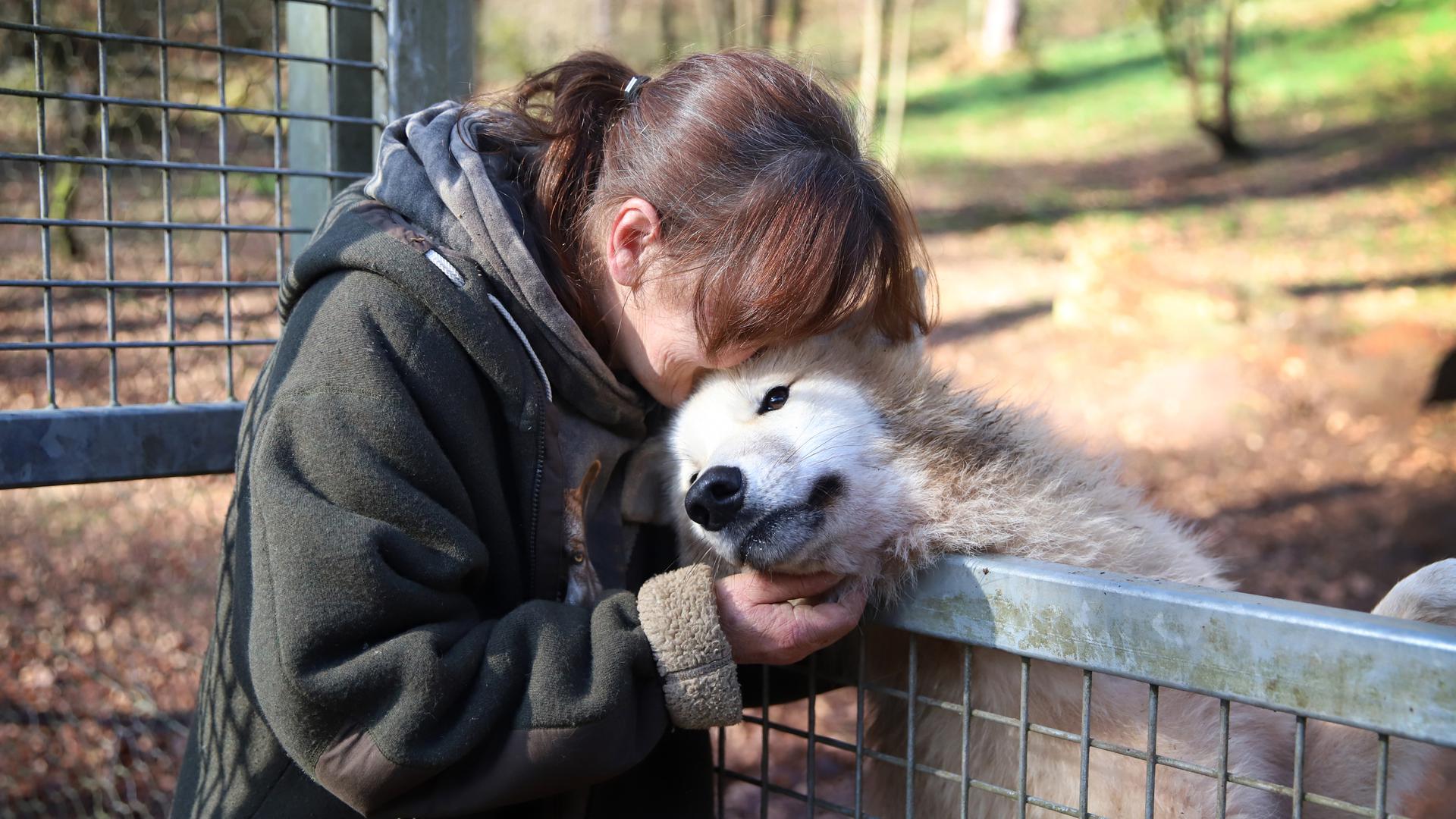 Tatjana Schneider kuschelt gern mit ihren Wölfen.