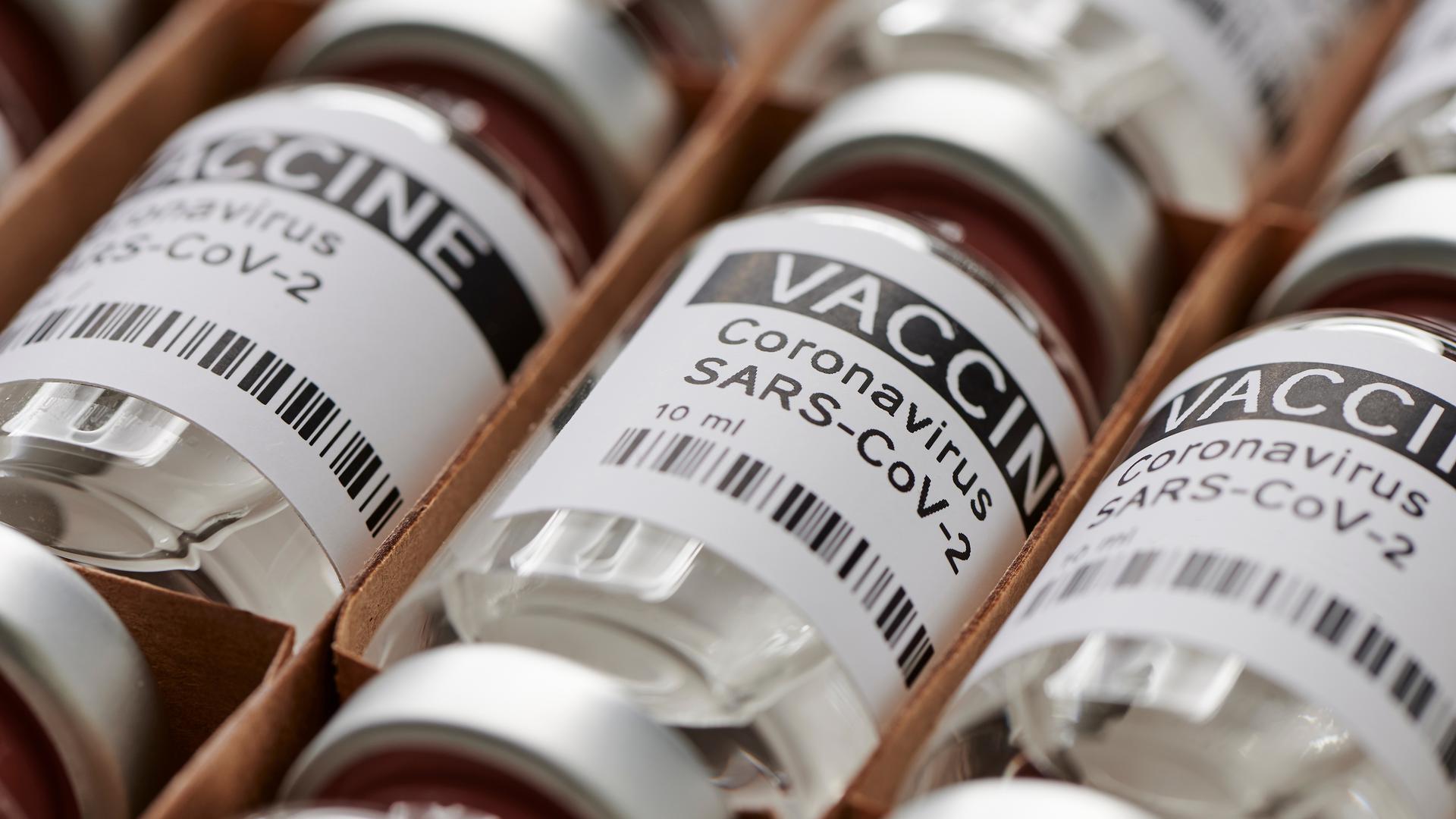 Les experts s'étaient montrés moins catégoriques en juin sur la question de l'obligation vaccinale qu'ils ne l'étaient en janvier.