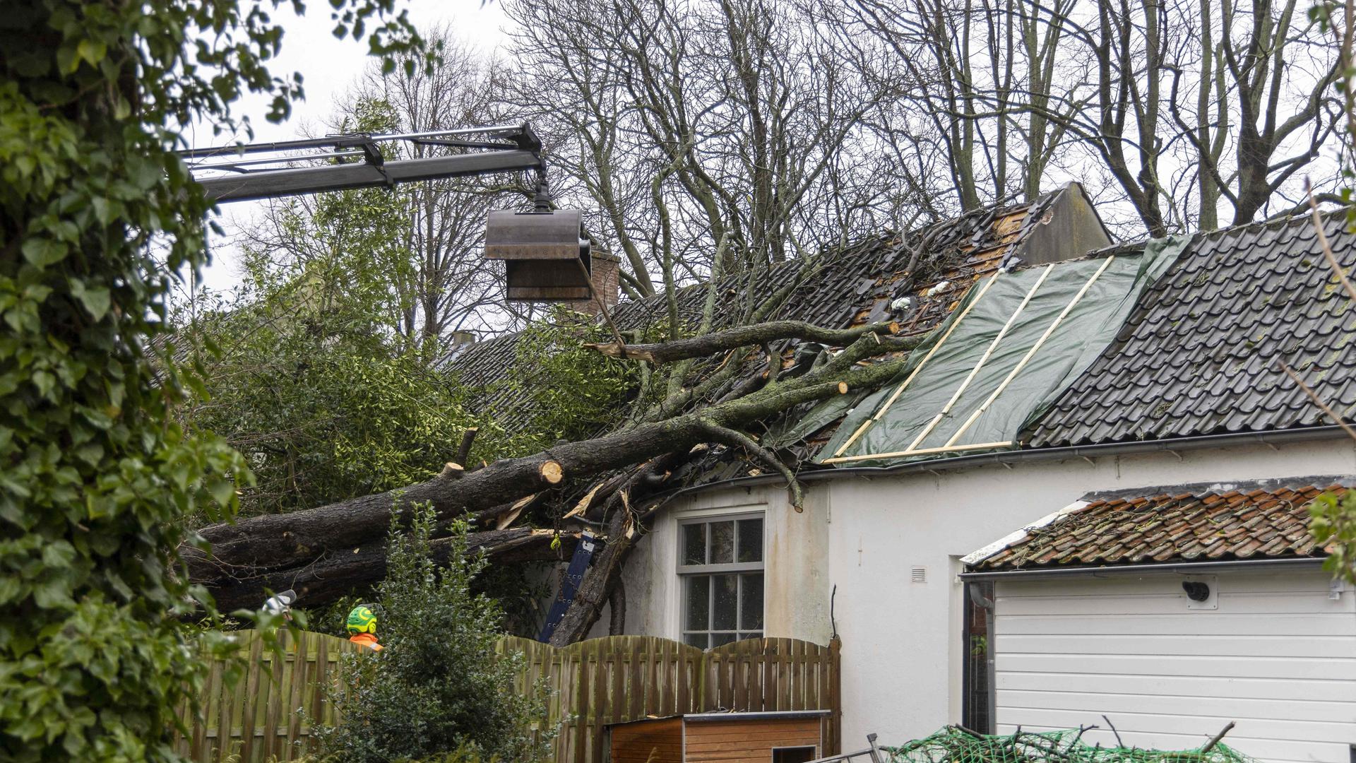 Contrairement à ses voisins européens, le Luxembourg n'a subi que peu de dégâts lors du passage de la tempête Eunice vendredi dernier.