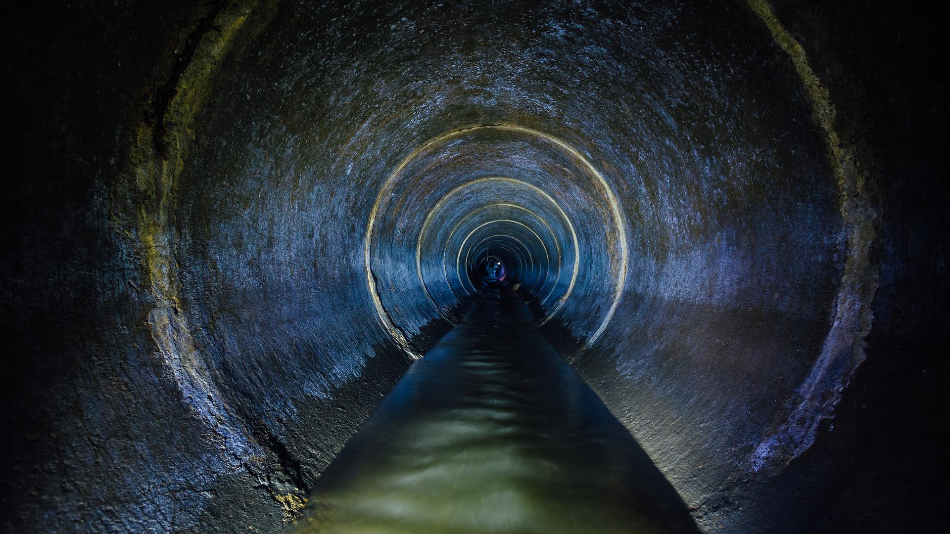 Cette année, l'Observatoire s'est penché sur les eaux usées provenant de 104 villes européennes, dont Bruxelles, Anvers et Sarrebruck.